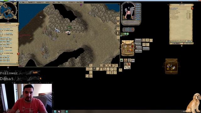 Таминг по русски! Как затамить КуСидху. Как  прокачать пета / Animal Taming In Ultima Online. OSI