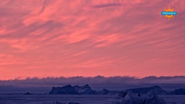 01 смотреть онлайн