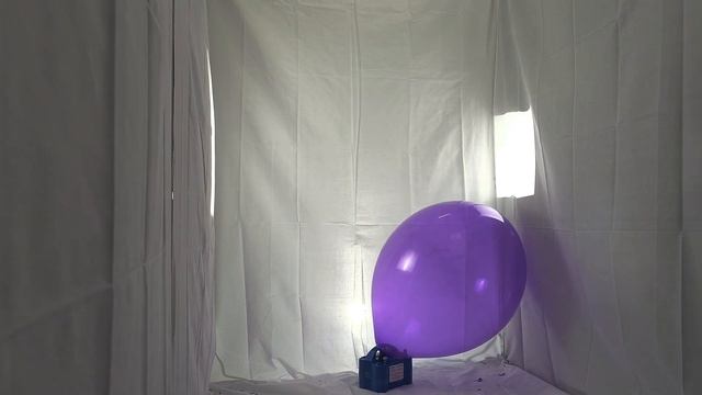 #108 BTP - big purple round balloon blow to pop to milions shreds смотреть онлайн