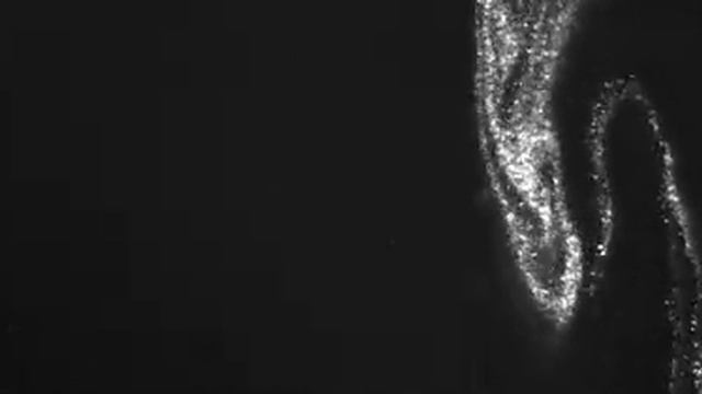 Quantum vortices in Superfluid Helium смотреть онлайн