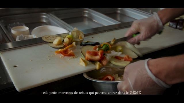 GEME Composter Reviews and How it work explanation. The revolutionary product for food waste issue смотреть онлайн