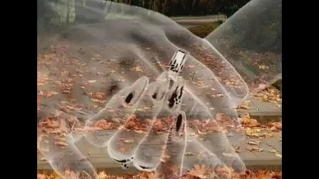 Кирасива музыка смотреть онлайн