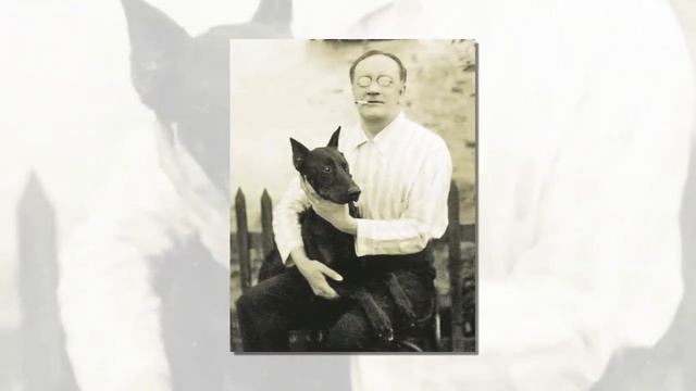 С. Есенин "Собаке Качалова". Читает С. Безруков смотреть онлайн