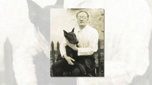 С. Есенин "Собаке Качалова". Читает С. Безруков