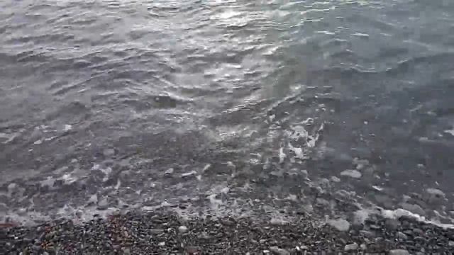 Сочи. Красивое море. Цветной бульвар вечером. смотреть онлайн