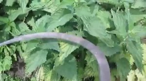 Как косить серпом. Кошу траву серпом. Работа серпом