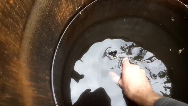 ? Жук-СТРИГУН кравчик-головач - как бороться с ним. Народный метод/способ защиты/борьбы. Чем опасен смотреть онлайн