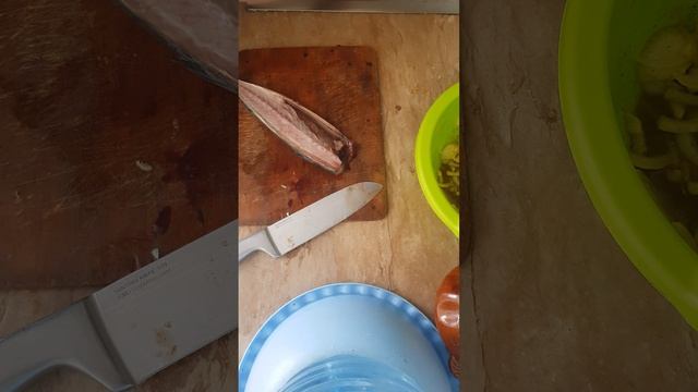 Кулинарное творчество без границ 