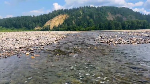 Звуки природы, тихая река.\Sounds of nature, quiet river.\自然的聲音，安靜的河流。