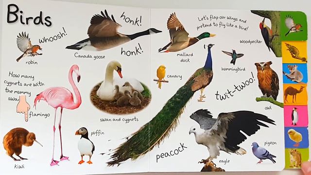 My First Animals Book | Learn Animals | #childrensbook