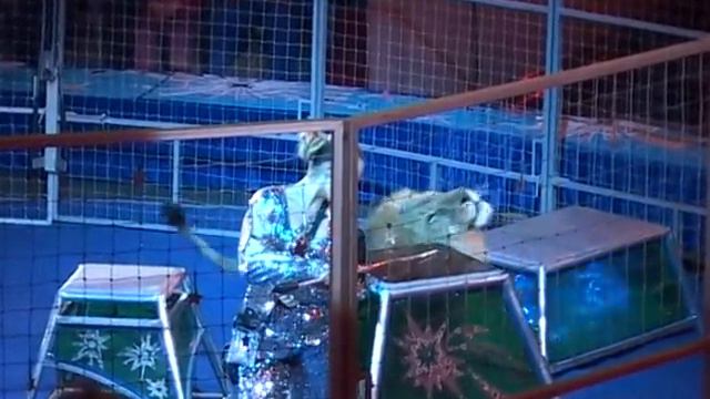 Это надо видеть! Цирк! Дрессировщица герой! смотреть онлайн