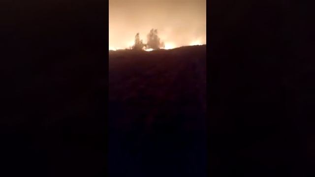 Ужасный пожар в Якутии Трактористы чуть не сгорели смотреть онлайн