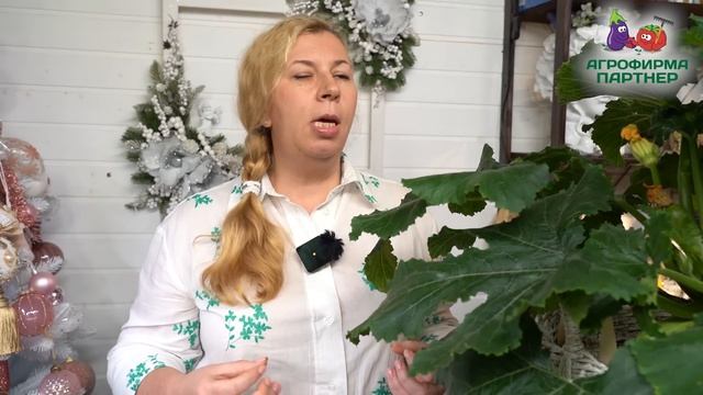 Генри F1 - кабачок, который растёт в любое время года смотреть онлайн