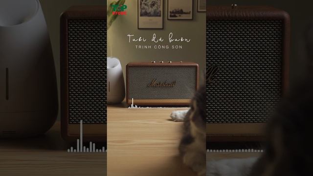 Chill nhạc Trịnh cùng Marshall Acton II смотреть онлайн