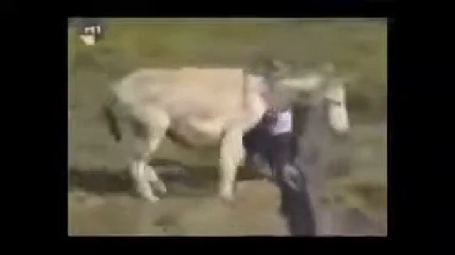Осёл хотел трахнуть мужика смотреть онлайн