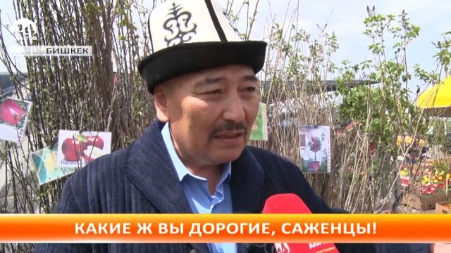 Саженцы, закупленные "Зеленхозом" вызвали ажиотаж в обществе смотреть онлайн