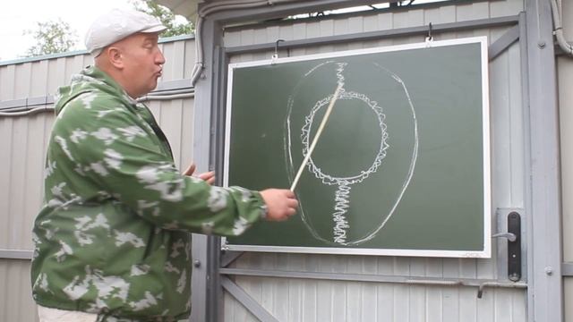 Почему храним куриное яйцо острым концом вниз. смотреть онлайн