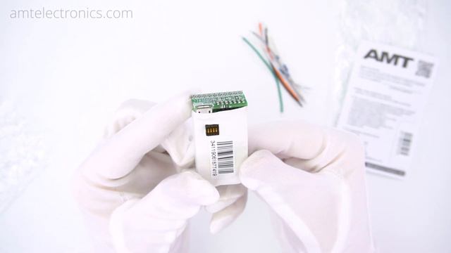 AMT Pangaea CP16A-6F22 - Plug-in IR Cabsim  Module (quick Unboxing / No Talking)