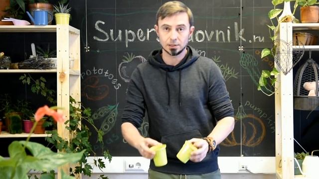 Выбираем горшки для рассады: какие лучше смотреть онлайн