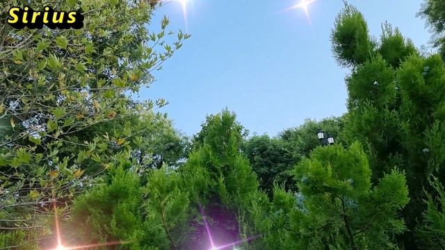 Таинственный лес. Магия рядом с нами. смотреть онлайн