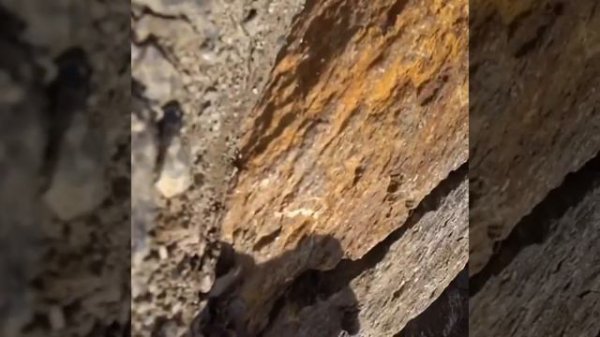 С вершины Казбека на Монблан. Обзор рюкзака Simond alpinism 33 литра