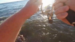 Отводной поводок, тирольская палочка, горбыль. Рыбалка летом на Чёрном море.