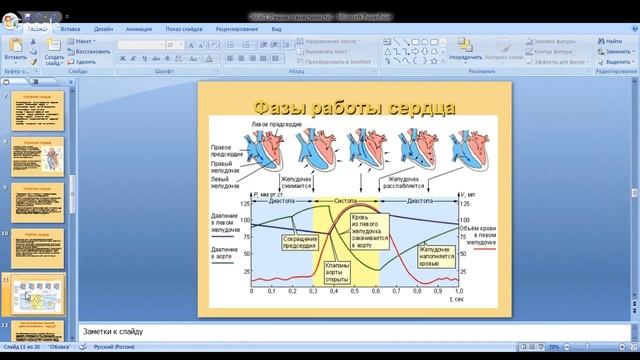 Биология 8 класс 21-22 неделя Сердце Круги кровообращения смотреть онлайн