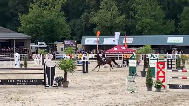 Precious Dwerse Hagen, 3rd place at Belgian Championships 6 years old, Cornet Obolensky x Casall смотреть онлайн