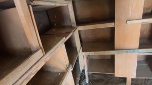 обработка голубятни весной 15.03.21г.