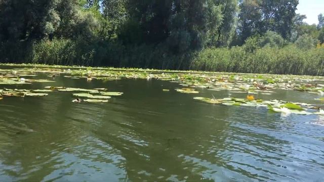 Каяки Балабино 2020 смотреть онлайн