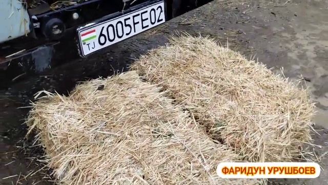 МОЛБОЗОРИ ИСТАРАВШАН НАРХОИ ПРЕСХО ИМРУЗ БОРОНБА АРЗОН.... смотреть онлайн