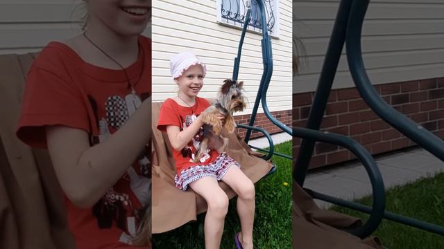 Ну очень хочется кошку погонять смотреть онлайн