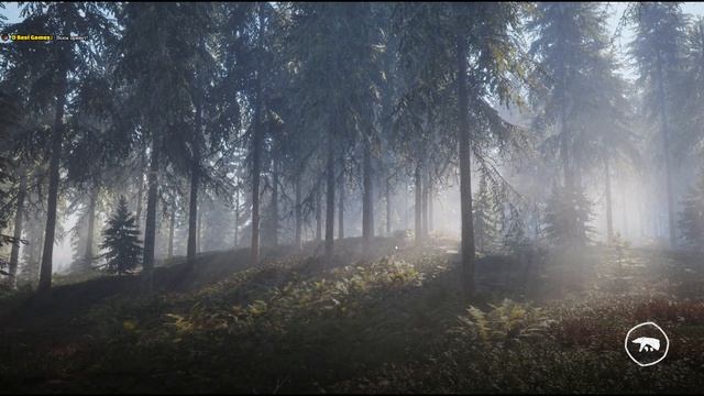 theHunter: Call of the Wild+DLC/Часть 4: Снова в путь/На русском/Прохождение/Гайд/Ответы на вопросы смотреть онлайн