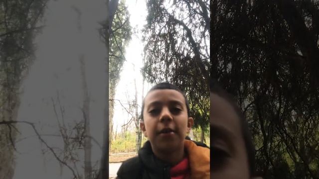 Я сламал спагетти ? смотреть онлайн