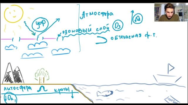 Экология: учение о биосфере | +12 баллов | Биология ЕГЭ смотреть онлайн