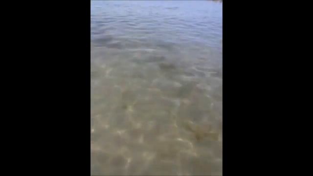 Скоростная поездка в Светлогорск смотреть онлайн