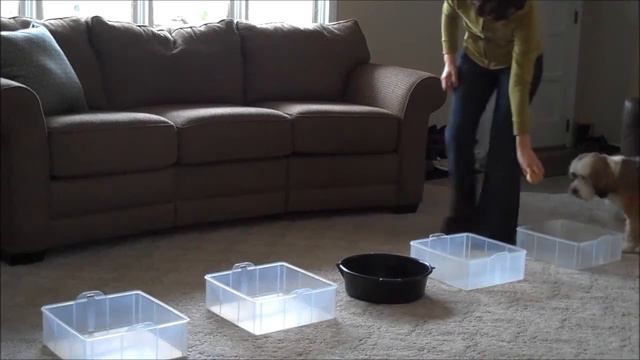 Lesson 3 Week 1 смотреть онлайн