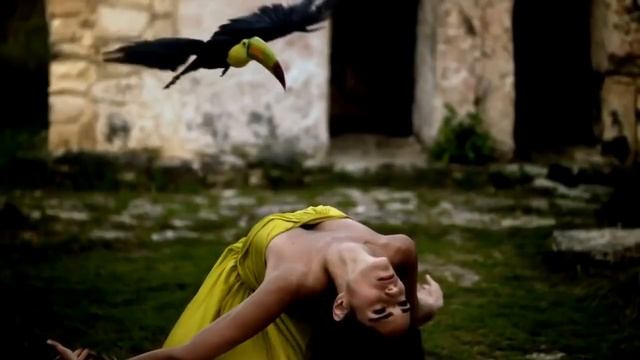 25 ноября 2023 г. смотреть онлайн