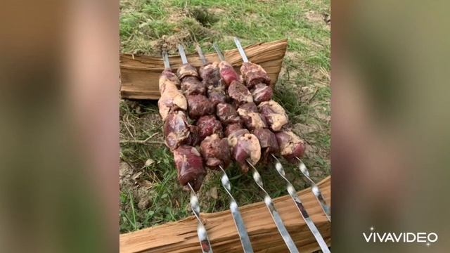 Посёлок Трудфрорт, река ямная. Астраханская область, отдыхаем! Вкусно кушаем и понемногу ловим рыбк смотреть онлайн