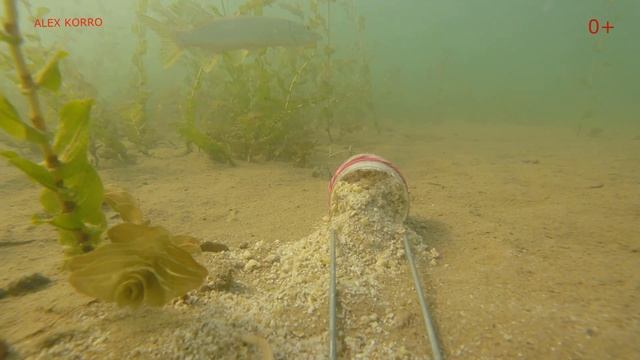 РЫБЫ ПОЛНО, А ГОВОРЯТ НЕ КЛЮЕТ. ПОДВОДНАЯ СЪЕМКА Федоровка 30.05.2020