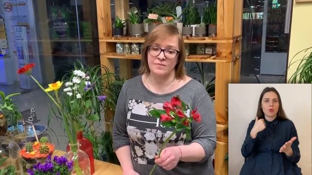 Универсальный цветок: альстромерия { СУРДОПЕРЕВОД } Перуанская лилия или лилия инков смотреть онлайн