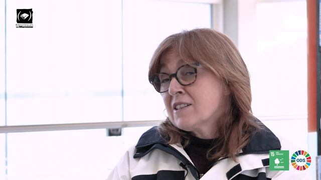 Vilassar de Mar - Els Alocs a Vilassar de Mar смотреть онлайн