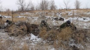 военные сборы. России