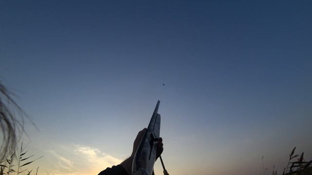 Начало охотничьего сезона Третья кладка у уток. The beginning of the hunt The third clutch of ducks смотреть онлайн