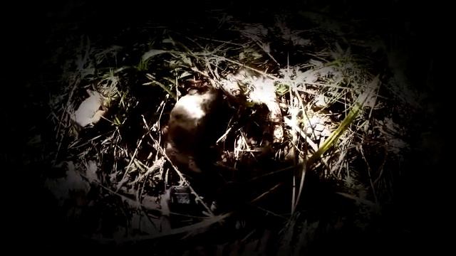 Ошибка в программе: Движение к абсолютной матрице как выражение страха перед временем и реальностью смотреть онлайн