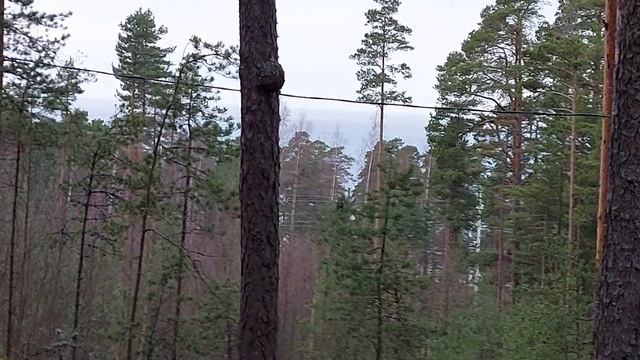 Скидка подписчикам канала в интернет магазине https://onprofi.ru/. смотреть онлайн