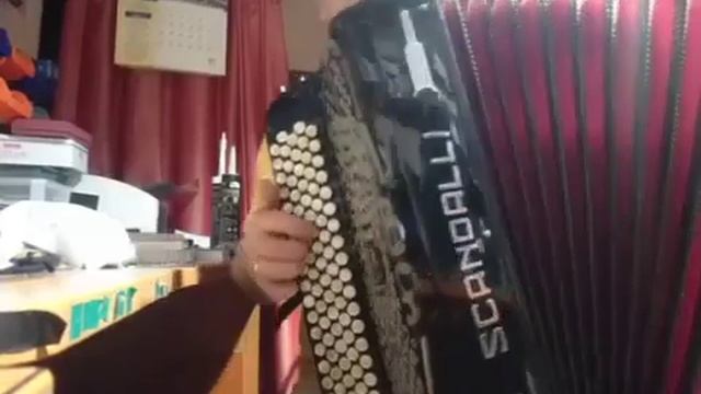 Баян Scandalli мюзетный с французским розливом смотреть онлайн