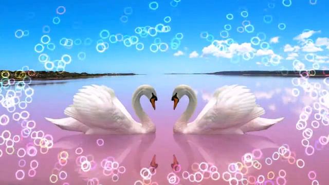 ЛУЧИК СЧАСТЬЯ Николай Жуков Ольга Когдова слова смотреть онлайн