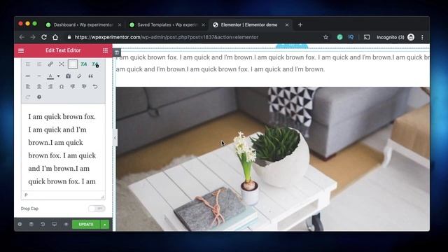 Elementor text editor widget - Embed shortcodes, Style images,blockquotes, text &more смотреть онлайн