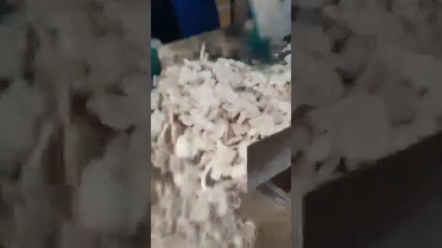 Производство шампиньонов резаных быстрозамороженных смотреть онлайн